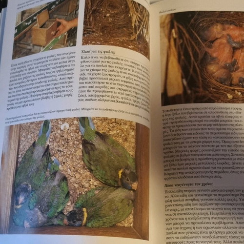 Illustrated bird book like new