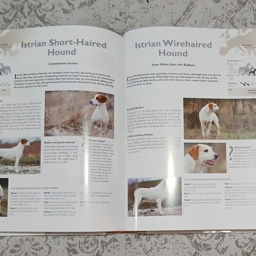 Dog Encyclopaedia Royal Canin like new, Greek