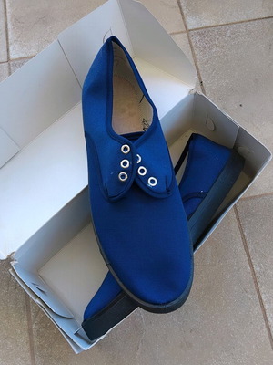 Work Canvas Shoes with Plastic Sole New, Blue and Black
