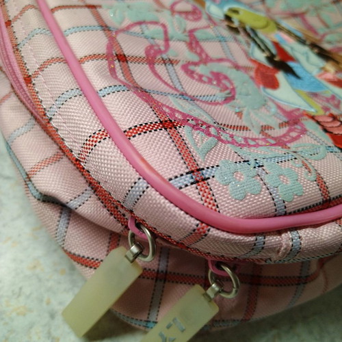 Lyc sac lunch bag like new
