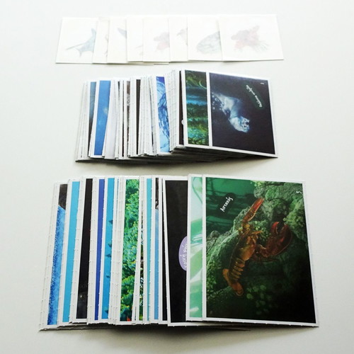 100 AB Stickers Exploring the Ocean and 8 Tattoos new
