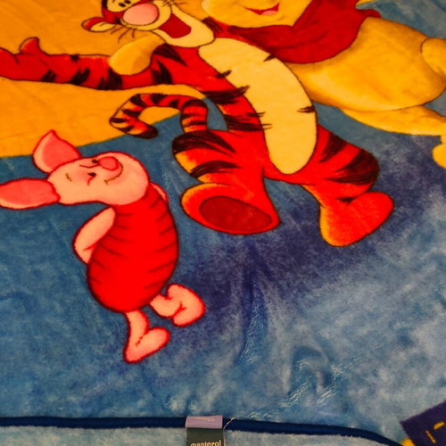 Manterol Disney children's blanket used 1.60x2.20 velour with design