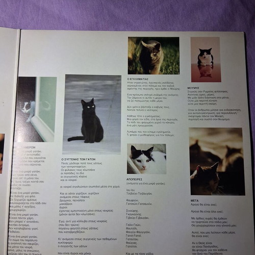 Vinyl To Vivlio Ton Gaton like new, entechno