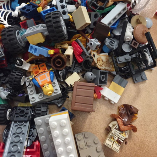 Lego pieces and figures used, 1,100 grams