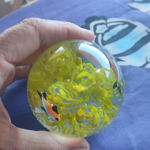 Crystal ball with yellow seaweed and orange black fish new