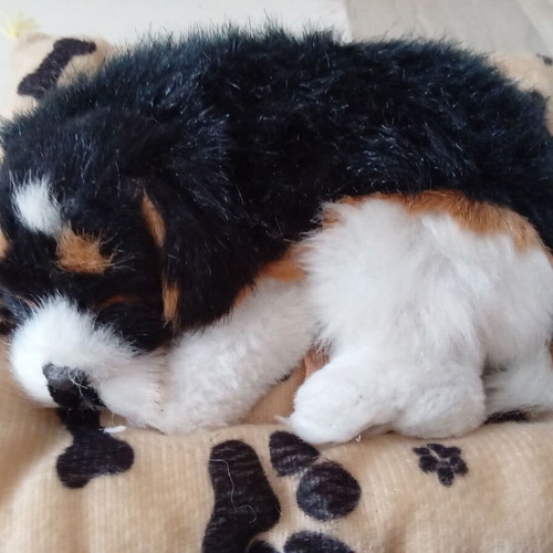Realistic dog like new