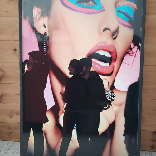 PLASTICIZED PHOTOGRAPH