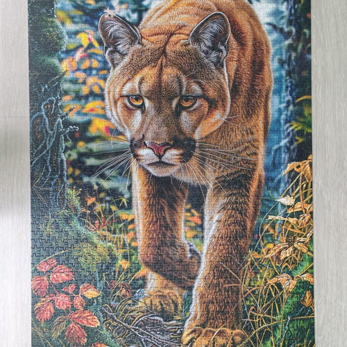 Castorland puzzle used, 1500 pieces Puma