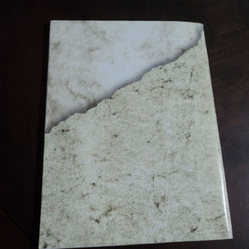 Nemecis magazine No 36 used