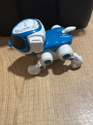 Robot dog used, missing one ear