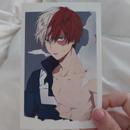 Shoto Todoroki My Hero Academia postcard set of 10 new
