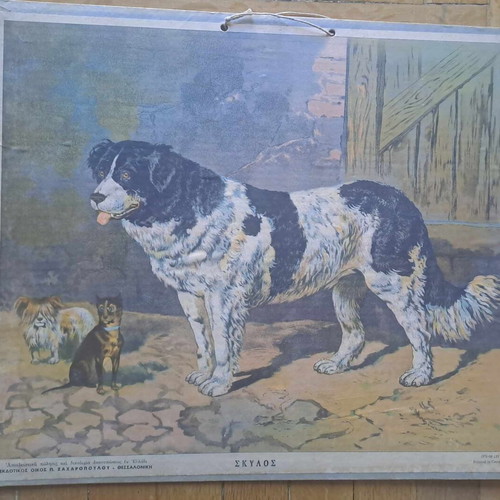 Vintage school poster dog hardcover used 40x35