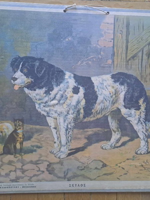 Vintage school poster dog hardcover used 40x35