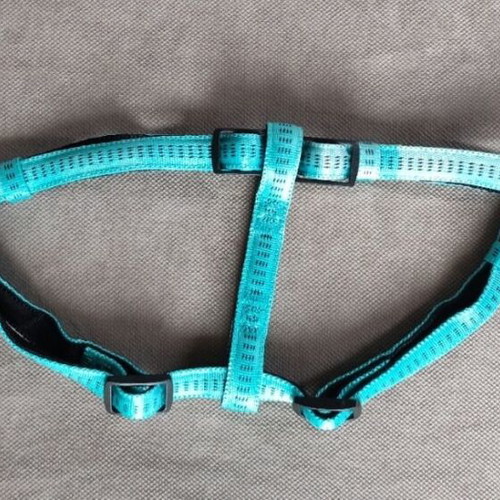 Nobby dog harness new, small-medium, 45-60 cm, leash