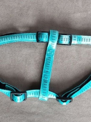 Nobby dog harness new, small-medium, 45-60 cm, leash