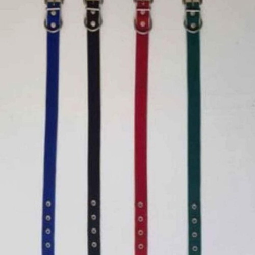 Pet collars new