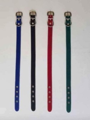 Pet collars new