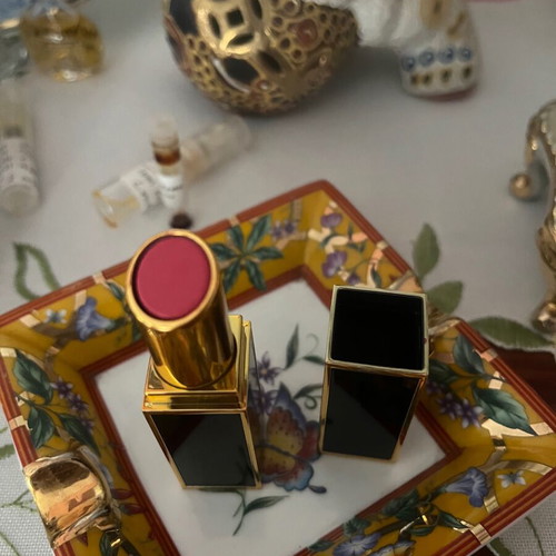 Tom Ford Lipstick pussy power new
