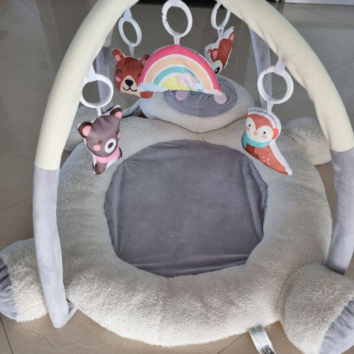 Lorelli Mary Activity Gym like new for 3+ months