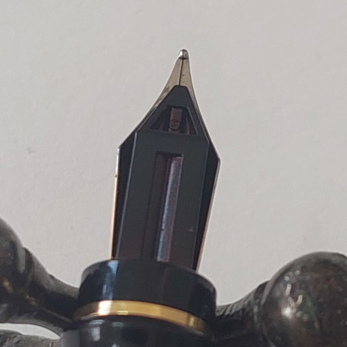 Waterman Expert pen black used
