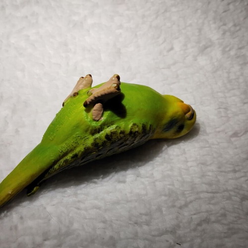 Green Budgie Schleich 14408 vintage 7 cm used