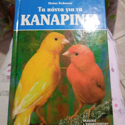Τα Πάντα Για Τα Καναρίνια Σαν Καινούργιο