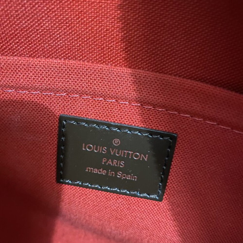 Louis Vuitton Damier Ebene Ribera MM handbag, brown
