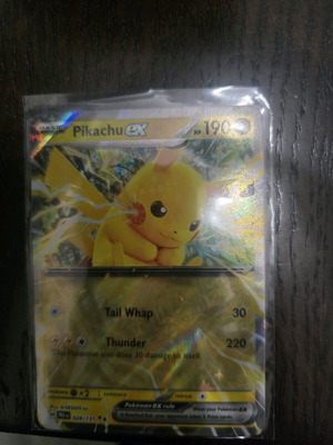 Pikachu Ex new
