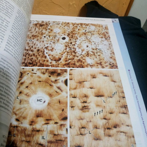 Histology with Color Atlas like new