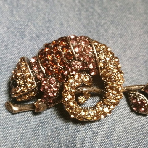 Iguana pin new