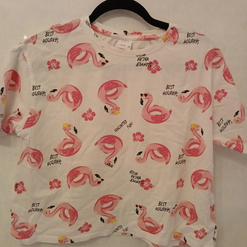 Zara Flamingo Crop Top T-shirt, size XS