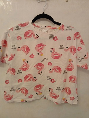 Zara Flamingo Crop Top T-shirt, size XS