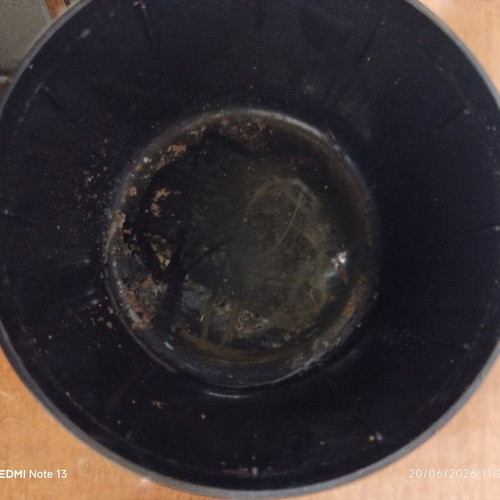 Bosch Tassimo Espresso Coffee Maker Parts used