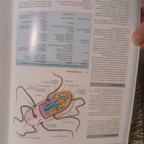 Bacteriology, Mycology and Parasitology like new