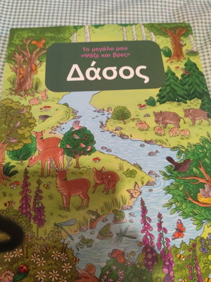 My Big 'Search and Find' Forest children's book