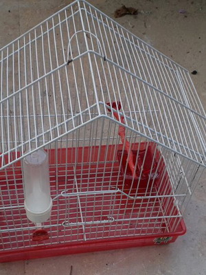 Bird cage used