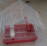 Bird cage used