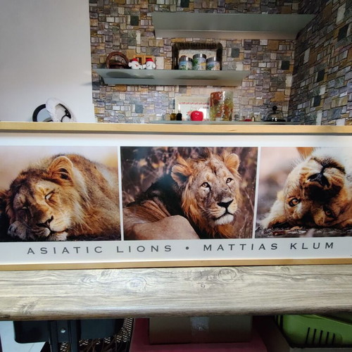 IKEA frame used 119×37 in excellent condition