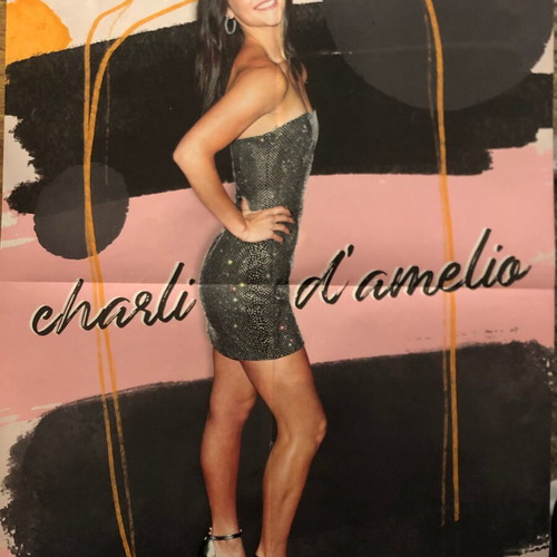 Charli Damelio giant poster from J-14 magazine new