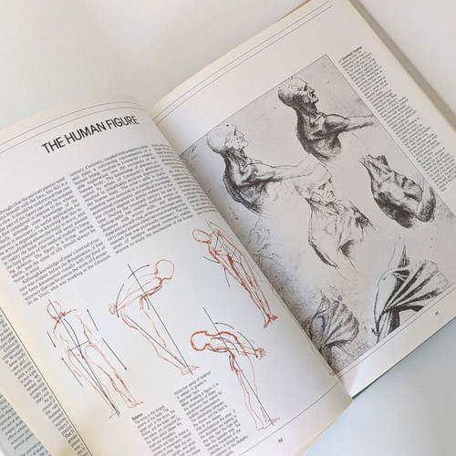 Drawing & Painting the Portrait by John Devane used, English edition