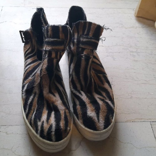 Shoes with tiger design used, size 40