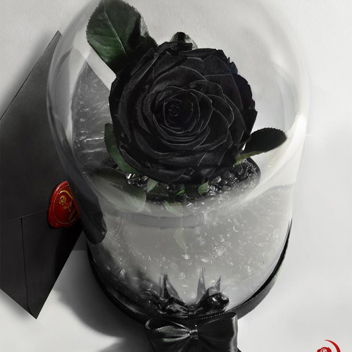 Black Eternal Rose in Large Glass Dome made to order