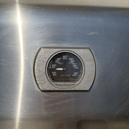 Napoleon Rogue SE 625 RSIB gas grill