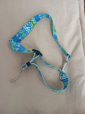 Dog leash for car seatbelt, approximately 75 cm, new