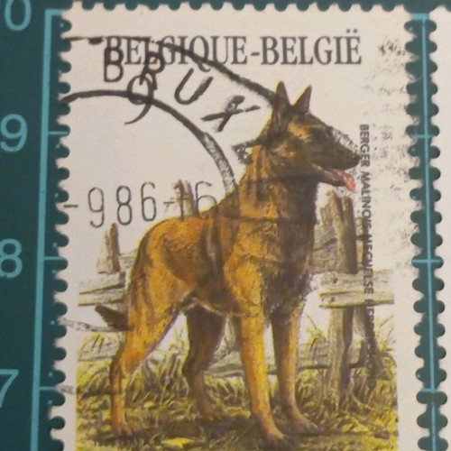 Belgium stamps 1986 like new, dog breeds