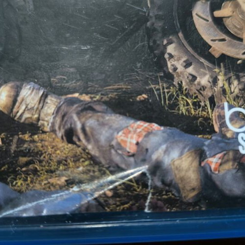 Days Gone and Horizon PS4 games used