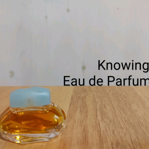 Estée Lauder Vintage Eau de Parfum Miniature Collection used
