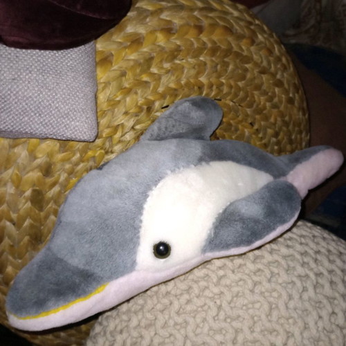 Plush dolphin new, can be used as a pillow