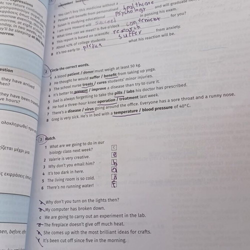 Ultimate B1 English Learning Book Hamilton House used