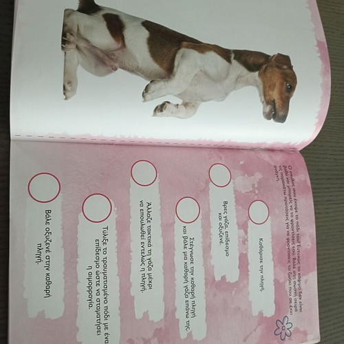 Nefeli the Animal Doctor book new